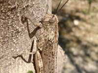 2017-04-12 15.10.57a