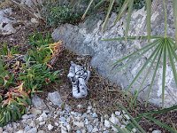 2016-04-07 19.36.17 Bildgröße ändern