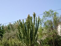 094 Sanet y Negrals Casa Mozart