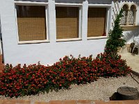 photo 2016-06-15 10-27-13